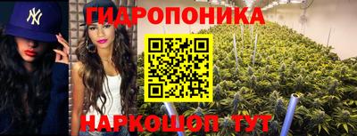 спиды Жуковский