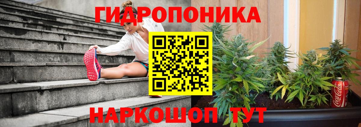 Каннабис планчик  Бошки Шишки ГИДРОПОН  Вход с VPN  Каннабис сатива  Лангепас 